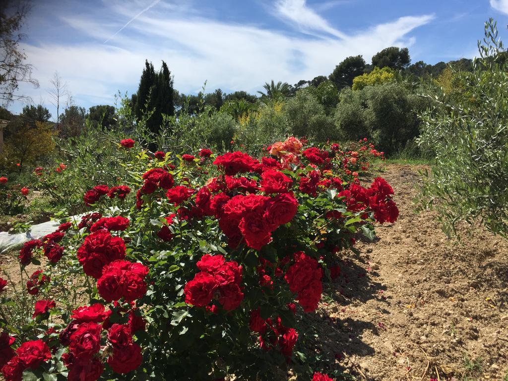 Le Clos De La Chevre Sud ラ・キャディエール・ダズール エクステリア 写真